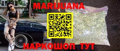 крисы Волгодонск