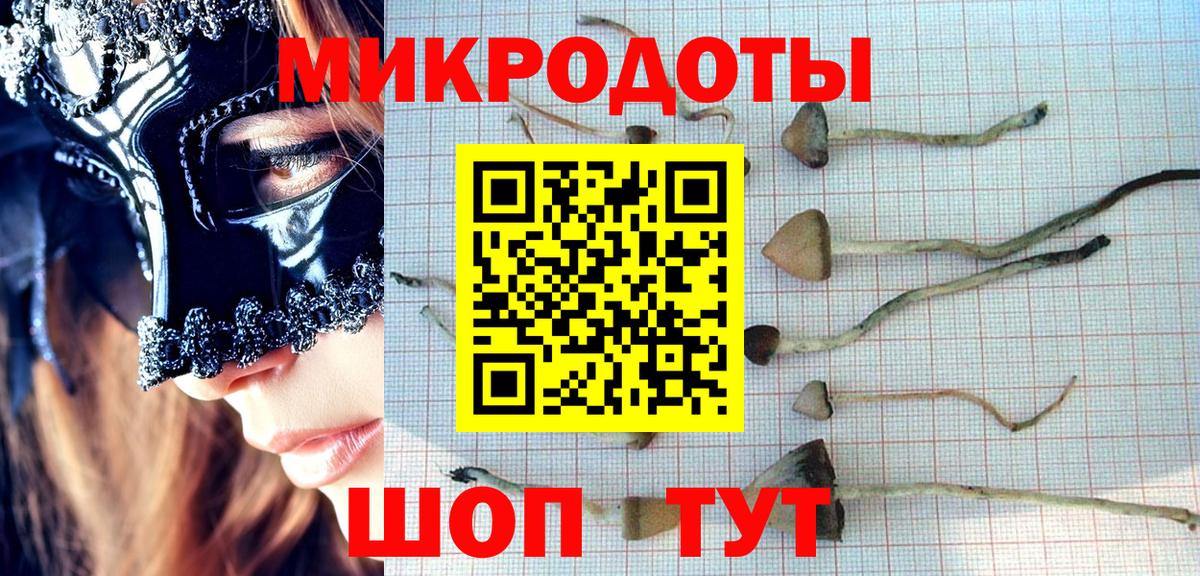 Псилоцибиновые грибы мицелий  Вход с VPN  Пермь 